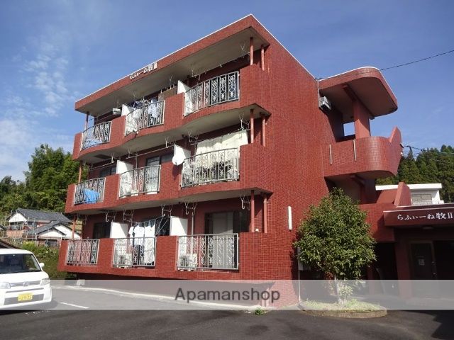 ��ӂ��[�˖q�U �����O��